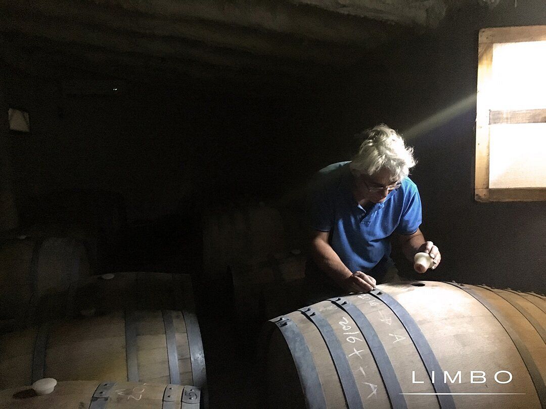 BODEGA LIMBO- Cuadro Benegas - Foto 5