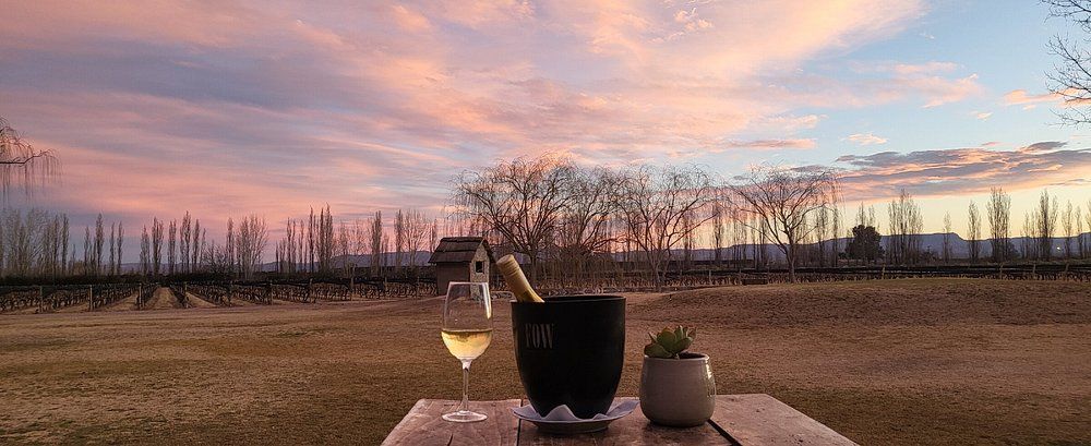 BODEGA FOW & Restó - Cuadro Benegas - Foto 12