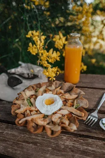 Bosque Comestible - Foto 7