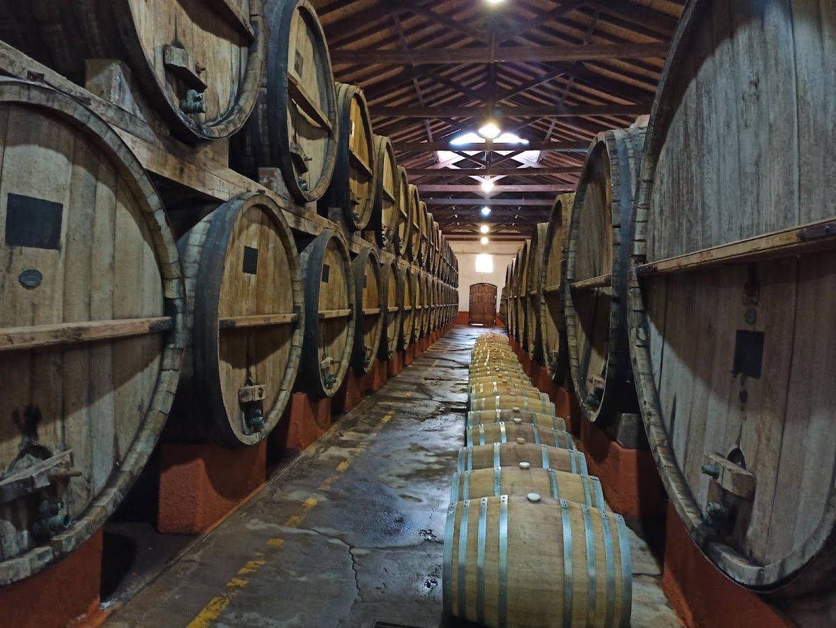 GOYENECHEA (Bodega) - Villa Atuel - Foto 1