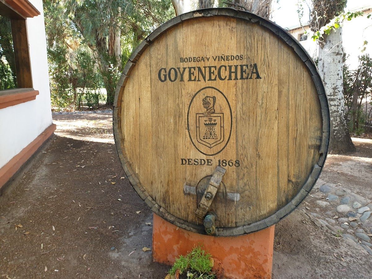 GOYENECHEA (Bodega) - Villa Atuel - Foto 2