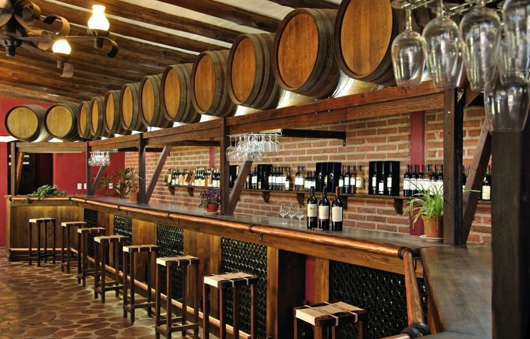GOYENECHEA (Bodega) - Villa Atuel - Foto 3