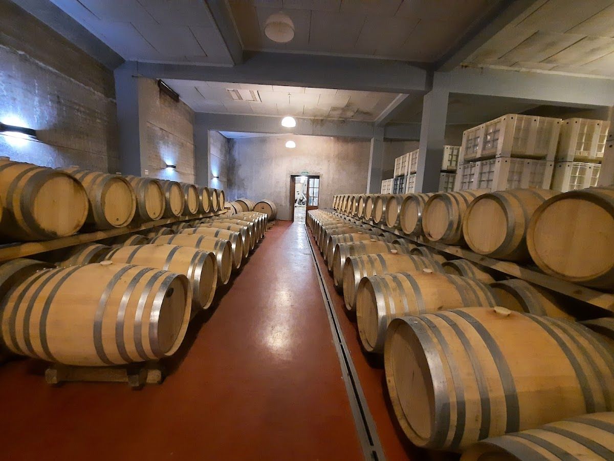 JEAN RIVIER(Bodega) - Las Paredes - Foto 2