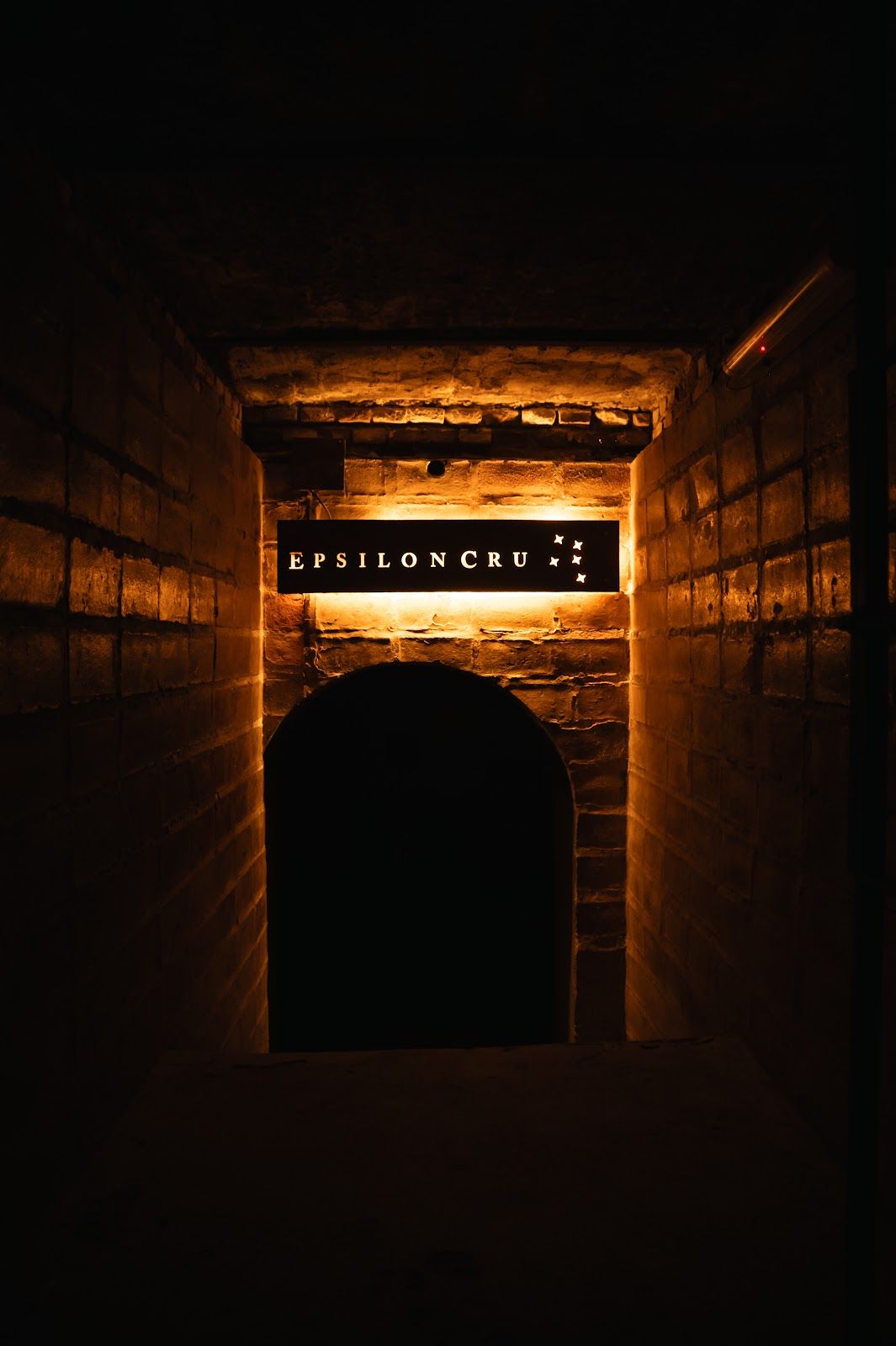 EPSILONCRU VINEYARDS (Bodega) - Las Paredes. - Foto 1