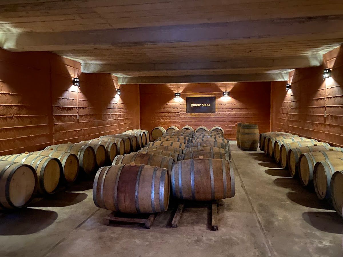 LA VIEJA BODEGA SERRA (Bodega / Aceite de Oliva) - Rama Caída - Foto 2