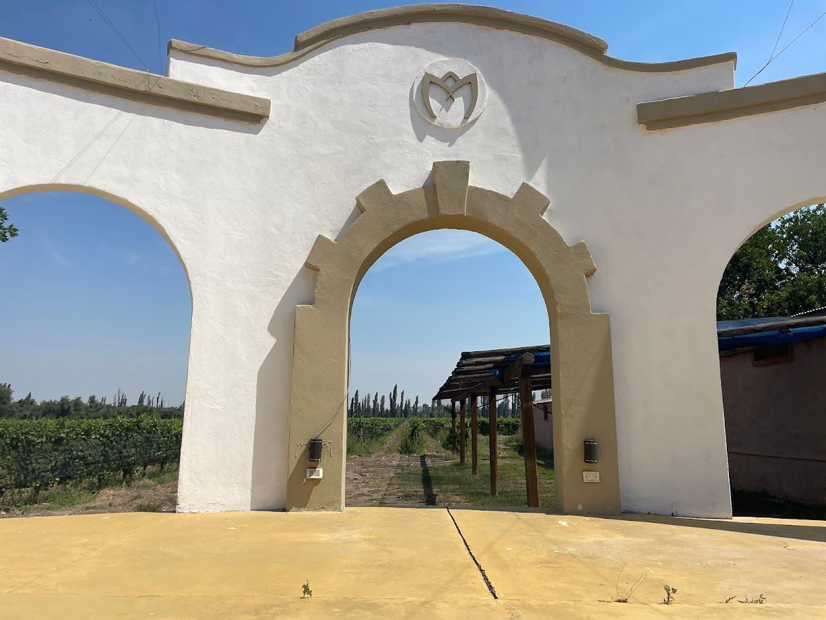 MURVILLE (Bodega / Espumantes) - Las Paredes - Foto 1