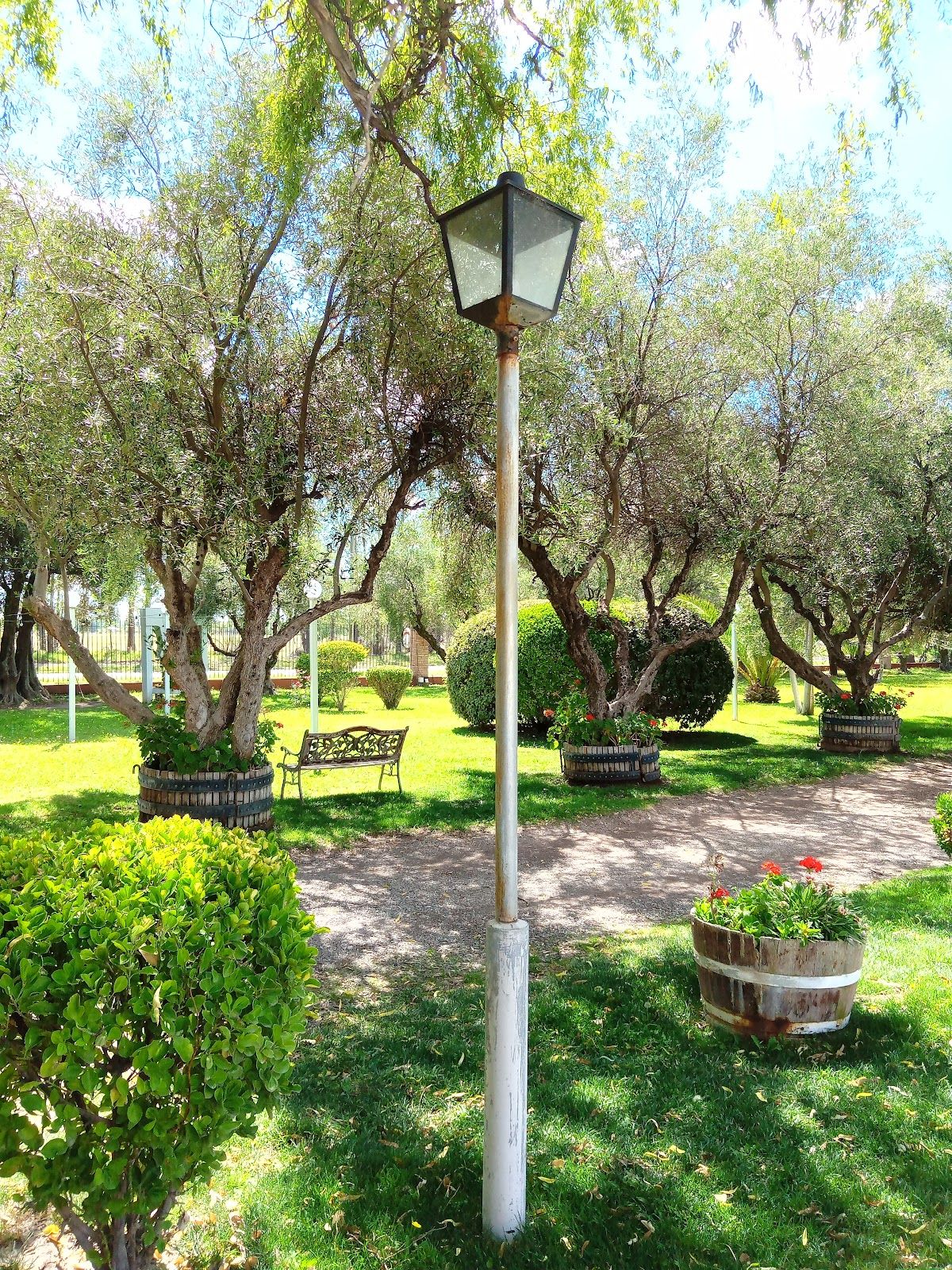 MURVILLE (Bodega / Espumantes) - Las Paredes - Foto 3