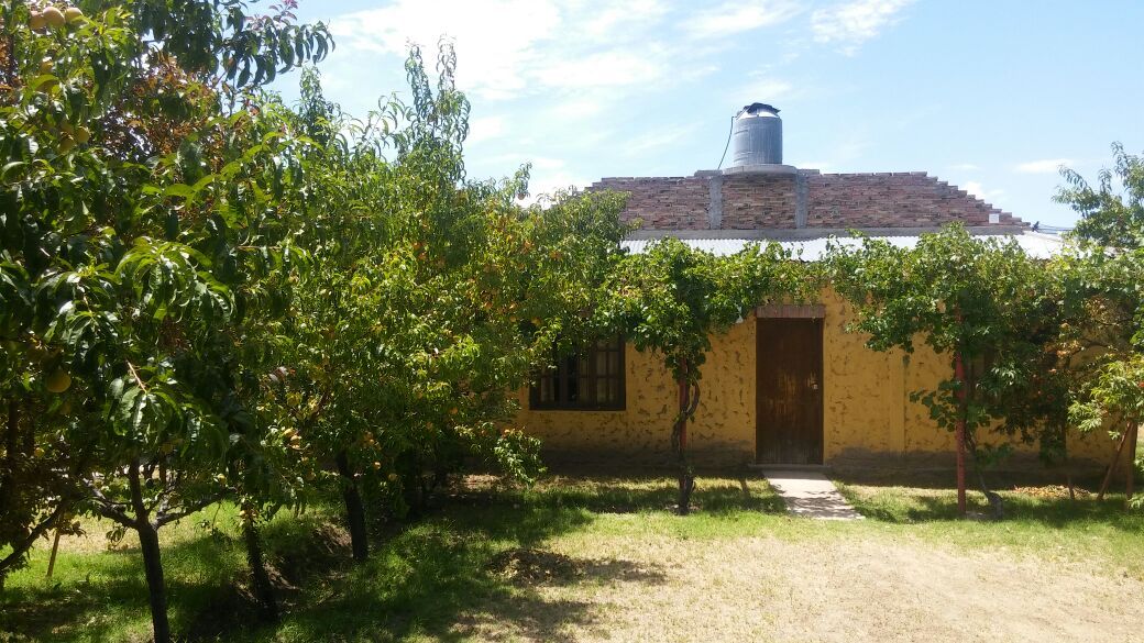 Cabañas Entre El Atuel Y El Diamante – Rama Caída - Foto 1