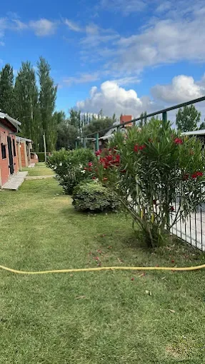 CABAÑAS ELITA - Rama Caída - Foto 12