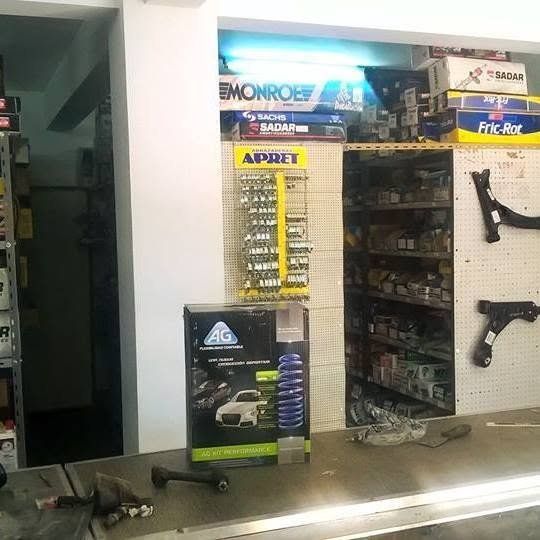 Mecanica Franceschini - Tren Delantero