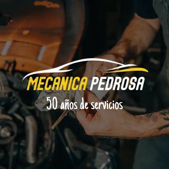Mecánica Pedrosa