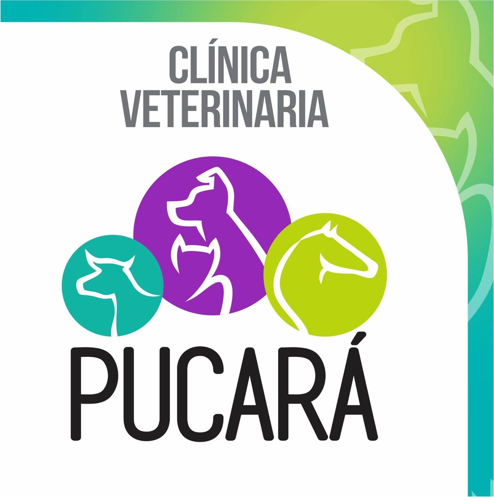 Clínica Veterinaria Pucara