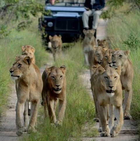 Fin de semana en la nieve