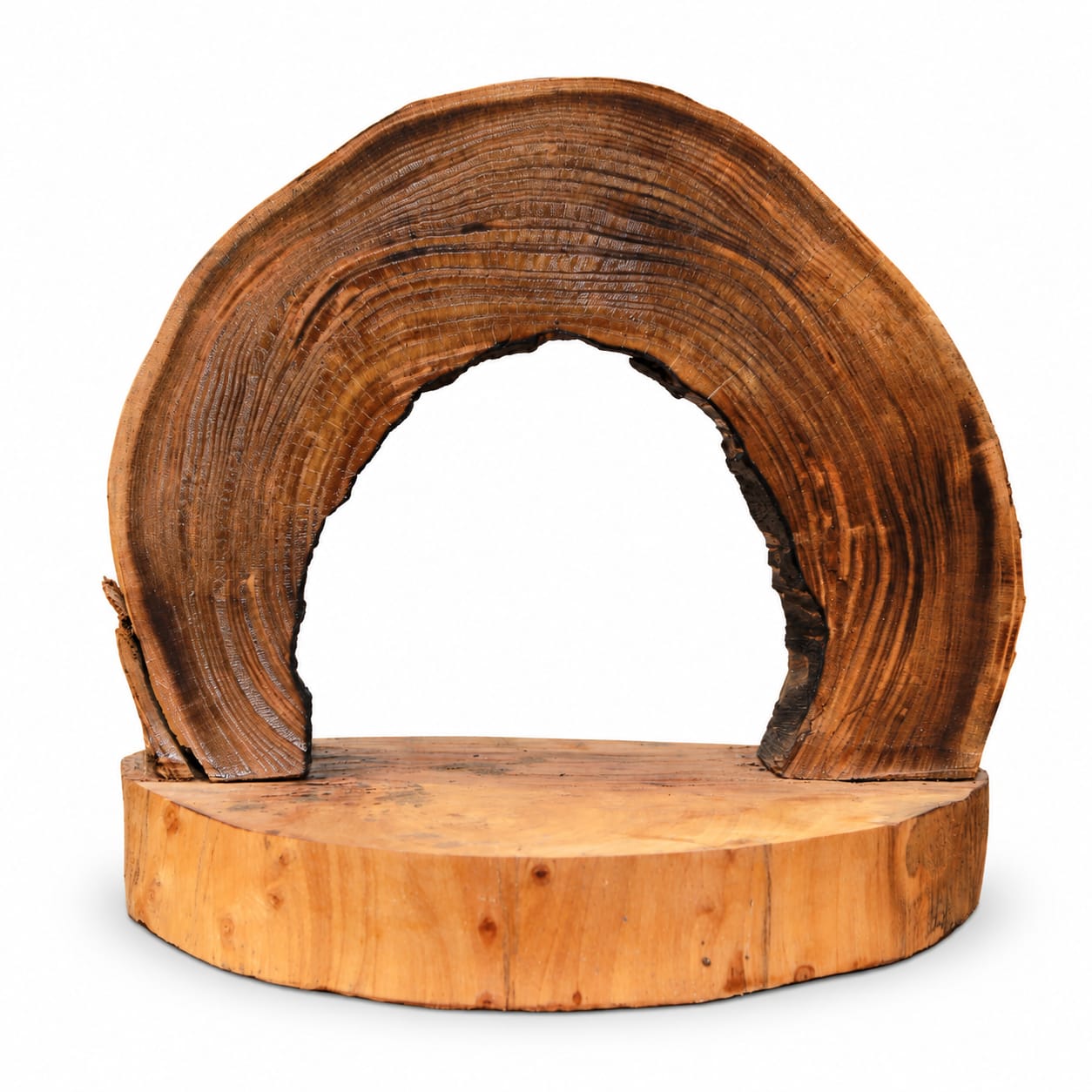 Arche décorative Cèdre d’El Hajeb – Cernes apparents et socle naturel — vue 1