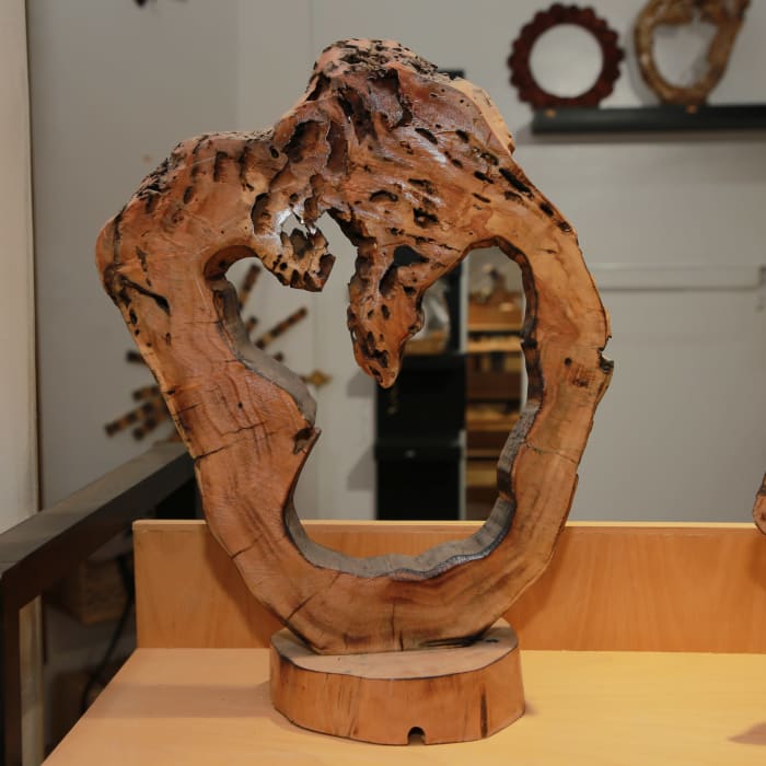 Sculpture anneau organique Cèdre d’El Hajeb – Cercle ouvert et cavités naturelles