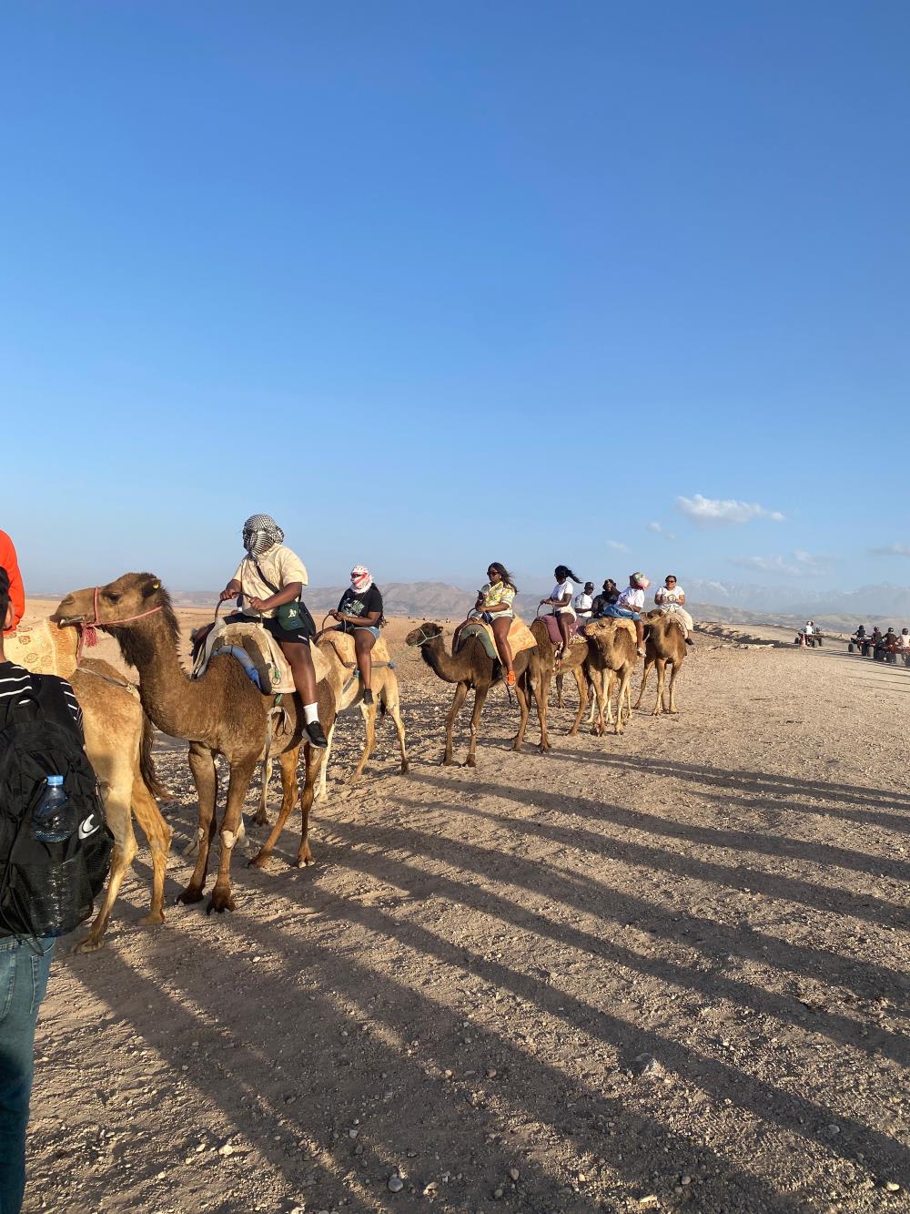 Image for Agafay Desert & Atlas Mountains