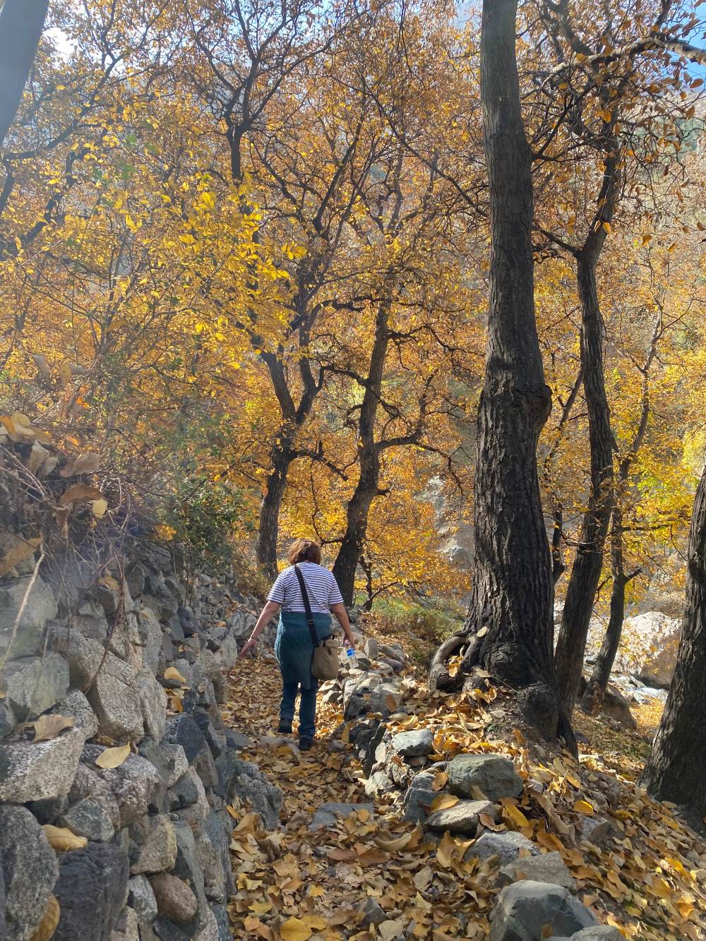 Atlas Mountains Valleys trekking - Experience Authentic Moroccan Culture