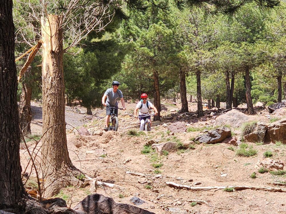 Atlas Mountain Biking Adventures - Morocco adventure from Marrakech with Atlas Toubkal Trek