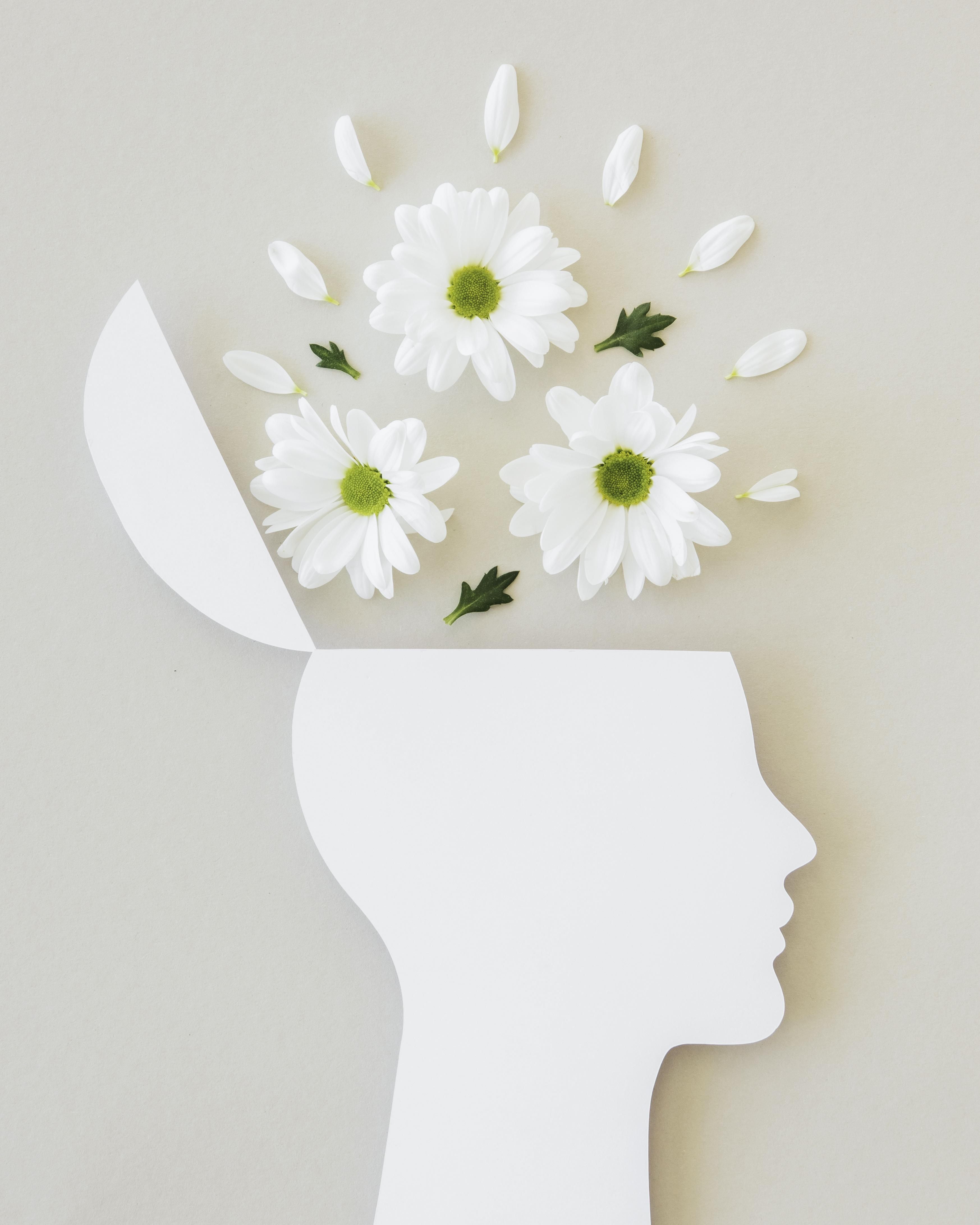 https://res.cloudinary.com/dg1g6ctku/image/upload/v1751218997/mental-clarity_1_jekuo0.jpg