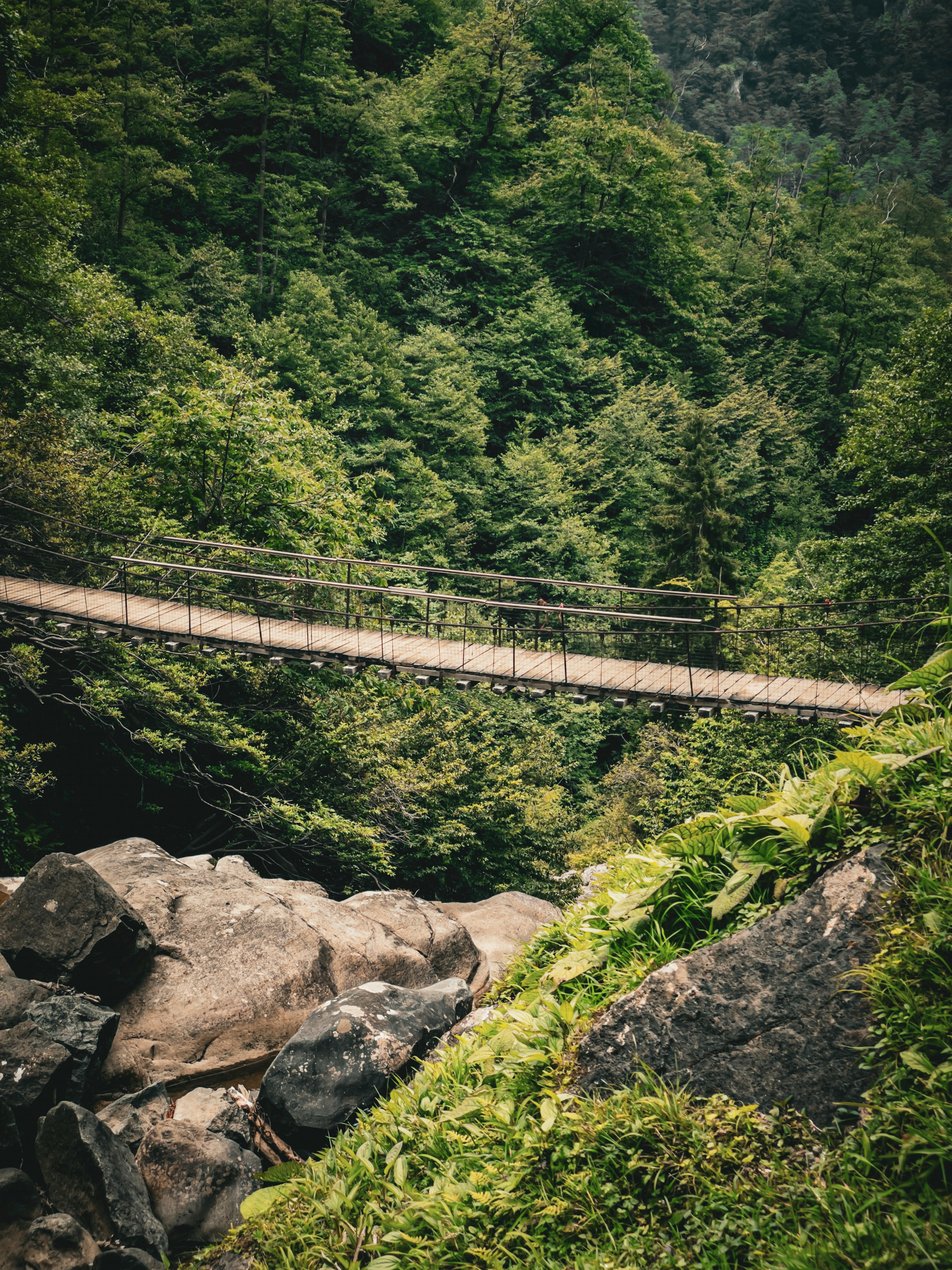 https://res.cloudinary.com/dg1g6ctku/image/upload/v1752151638/hike01_qtzy6m.jpg