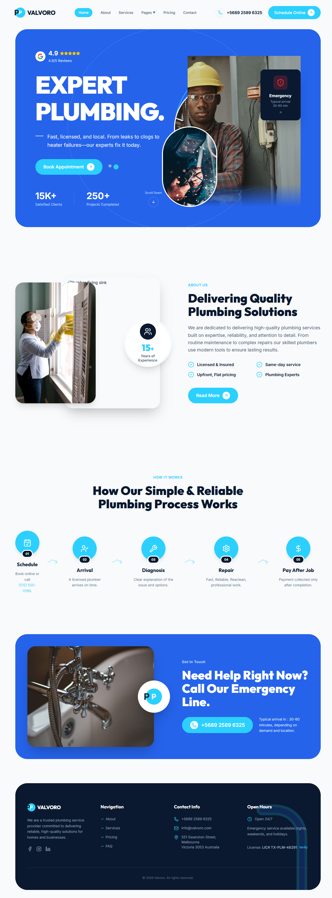 Professional Plumbing Preview