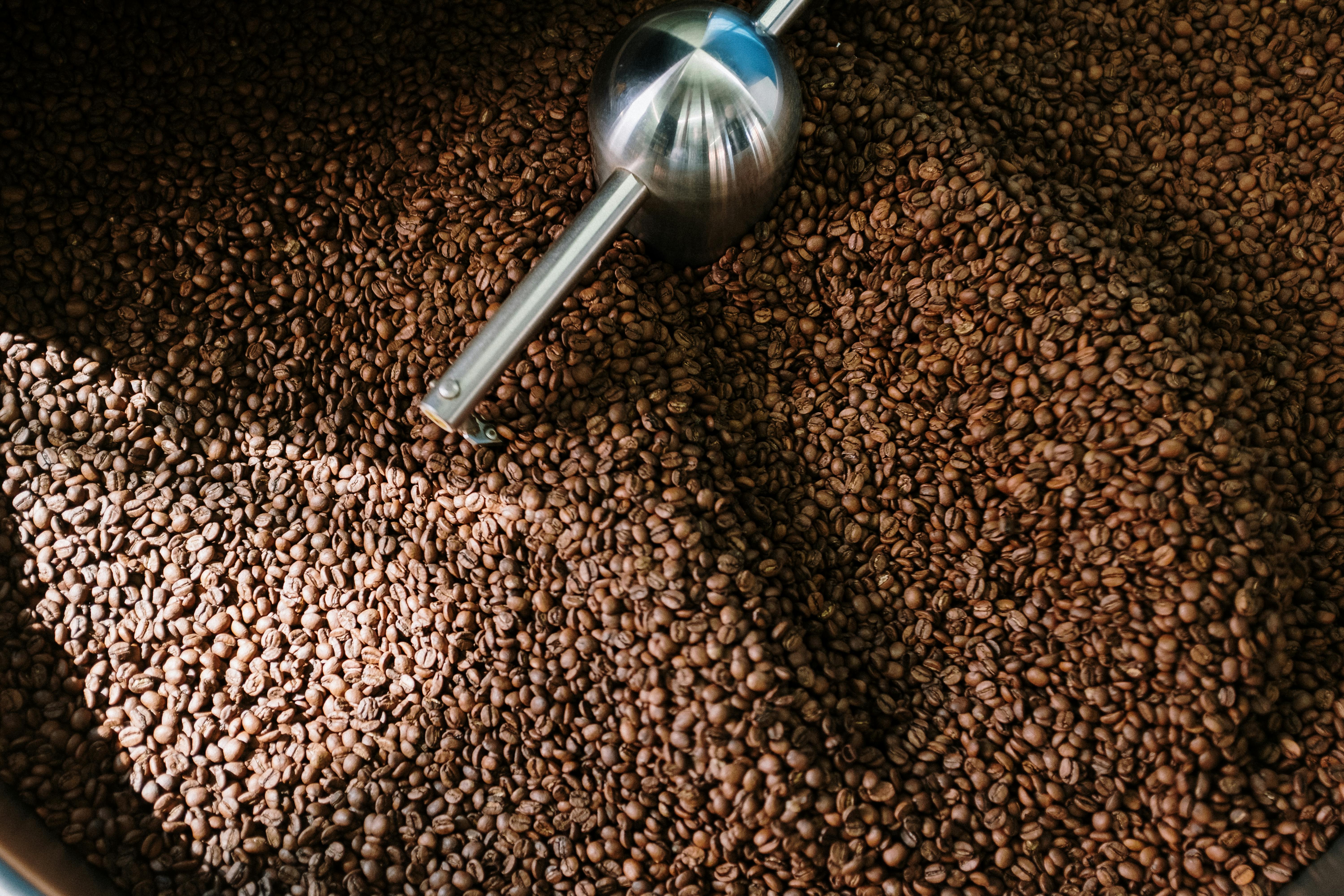 Roastery & Processing Facility Tours