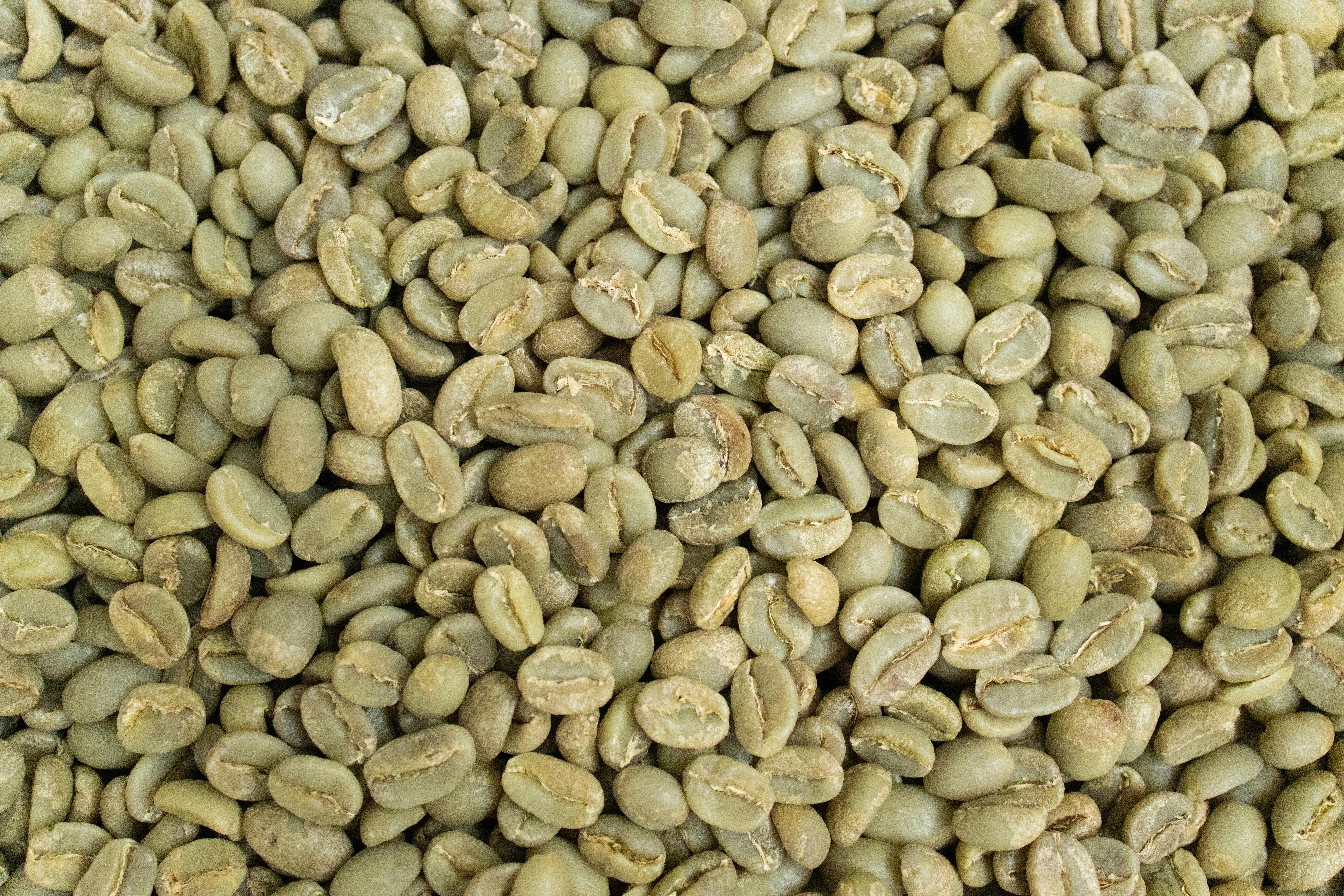 Green Beans