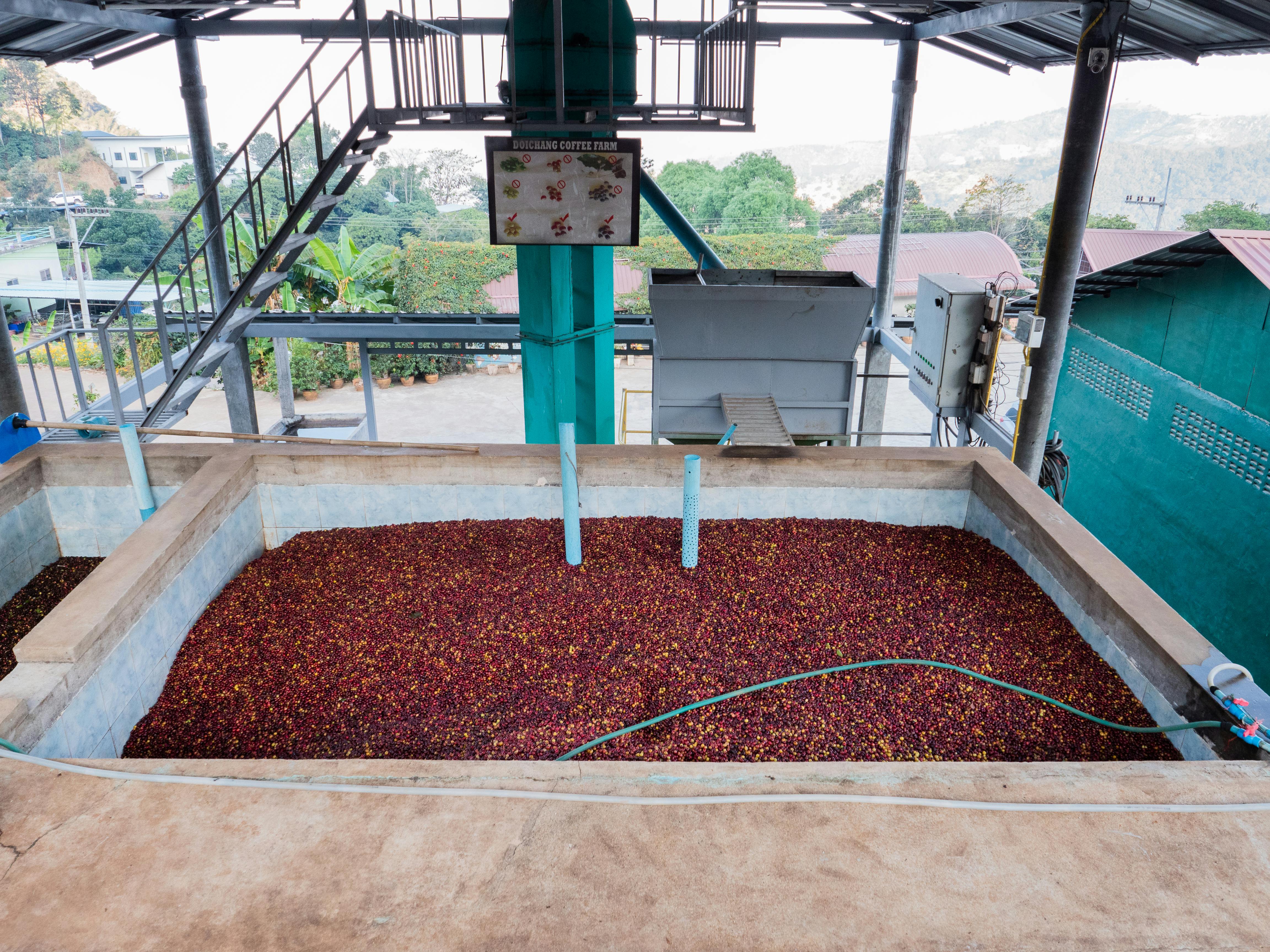 Farm-to-Cup Tours