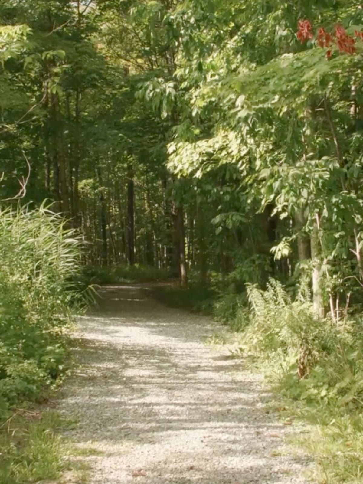 <h5>How to get there: </h5>