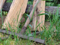 Народный календарь 4 июня. Не делайте этого в Василисков день, чтобы не жить от зарплаты до зарплаты