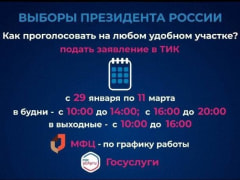 Как проголосовать на выборах Президента РФ не по прописке: 4 способа подачи заявления