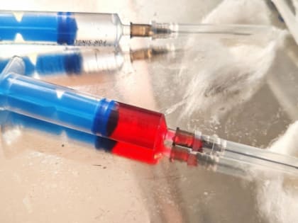 Роспотребнадзор оценил шансы самарцев заразиться «пожирающей мозг» амёбой