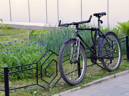 3 июня отмечается Всемирный день велосипеда - праздник активного и экологичного образа жизни