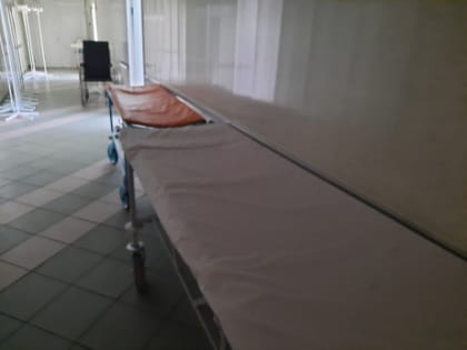 У жителей Самарской области проваливаются носы: число заболевших растет