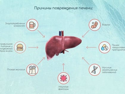 Гепатит как фактор риска развития рака печени