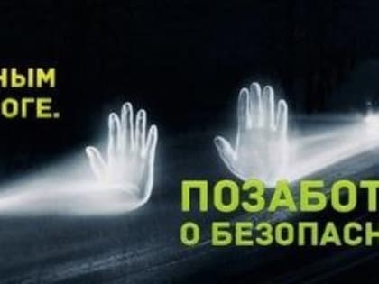 Пешеходов обязали носить световозвращающие элементы на загородных дорогах