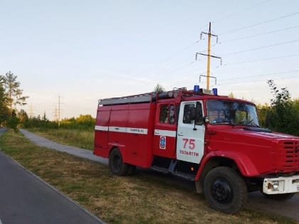 Тольяттинским родителям советуют не оставлять детей без присмотра