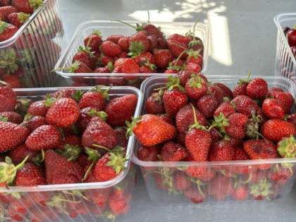 Продавцы лукавят, цены кусаются, но раскупают на корню: что творится на рынках Сызрани