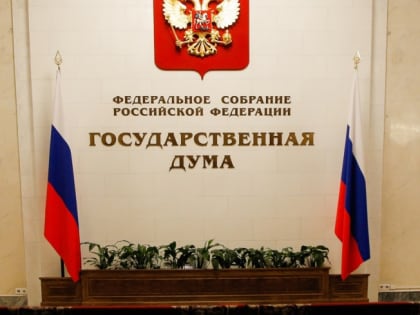 Госдума одобрила в первом чтении новые возможности использования маткапитала