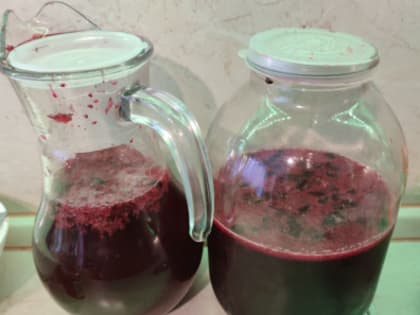 Депутат Госдумы Матвеев думает, что делать с забродившим морсом