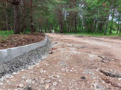 Власти показали, как преображается дендропарк Тольятти