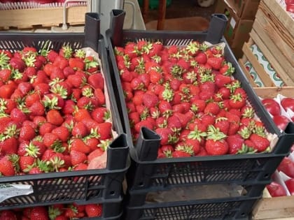 Рак больше не страшен: добавьте эту популярную ягоду в свой рацион — врач точно знает как лучше