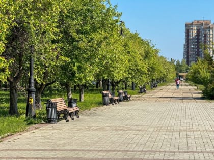 Неделя Тольятти: Ремонт парков и скверов, новые заводы, проезд подорожает