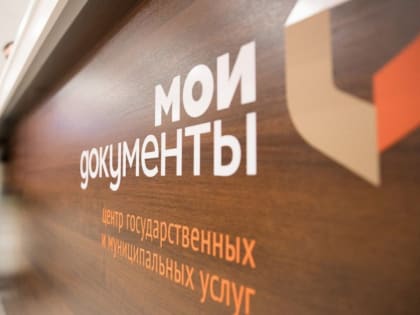 Более 25 тысяч государственных услуг предоставлено жителям самарского региона через МФЦ в I квартале