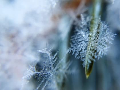 Сызранцев предупредили о главных опасностях морозов