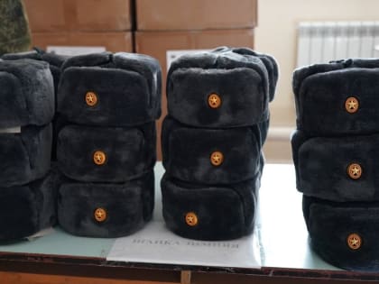 В Тольятти выделили 20 млн рублей на выплаты контрактникам