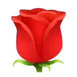 Call Girls icon najafgarh