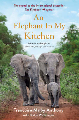 An Elephant in My Kitchen - Francoise Malby Anthony