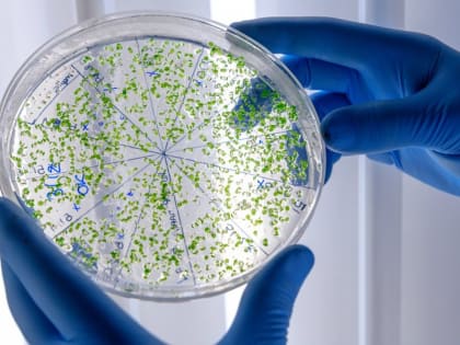 Пять человек умерли в Танзании от неизвестной болезни