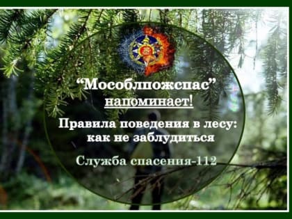 «Мособлпожспас» дает рекомендации для любителей тихой охоты